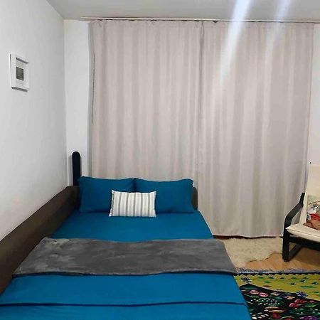 Central Apartment Muncii Area Netflix Bukurešť Exteriér fotografie